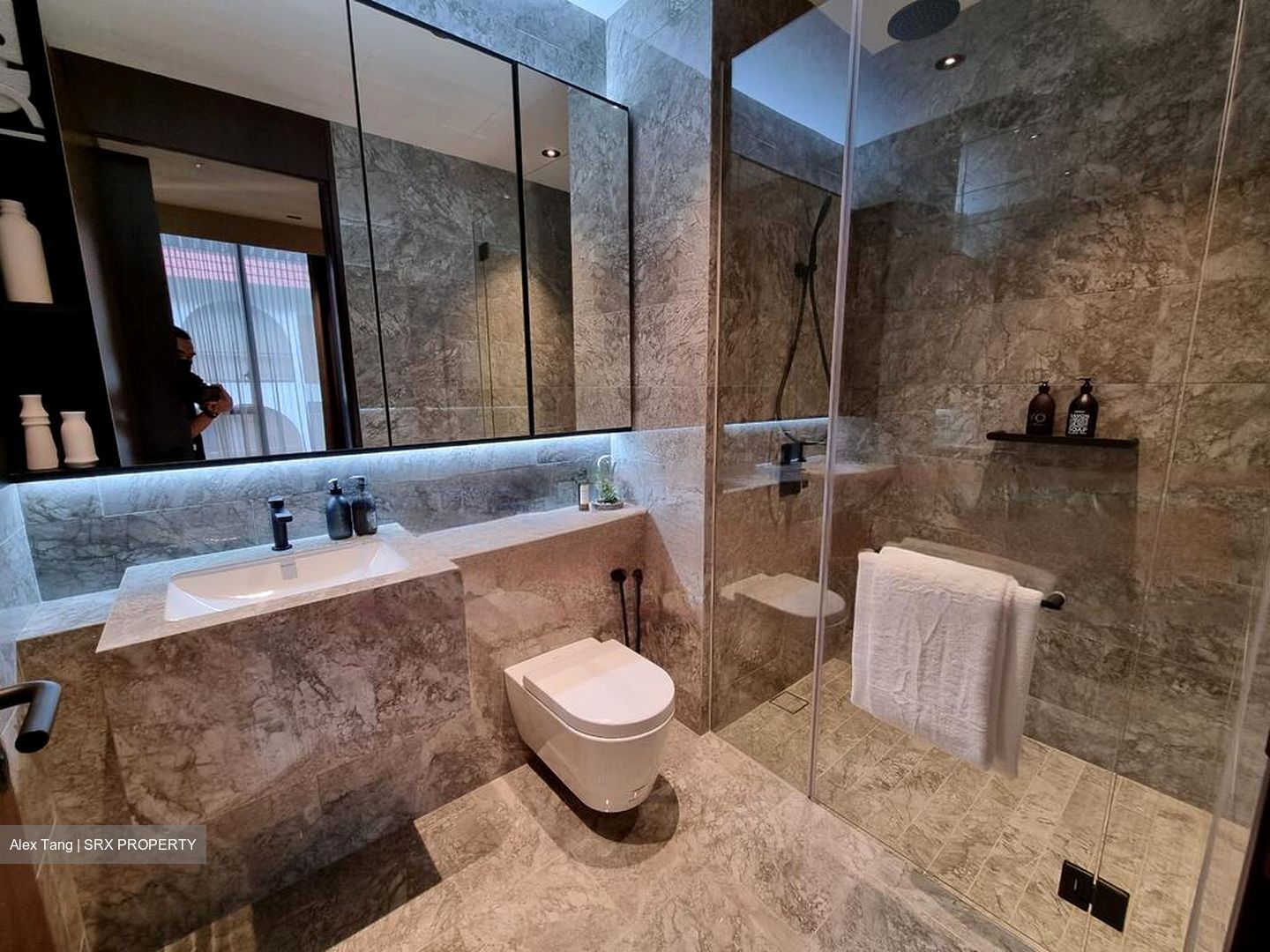 Jervois Privé (D10), Apartment #476702931